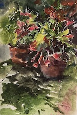 Sequim, Washington, USA. Line and Wash